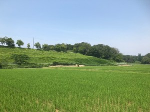 0C865B4A-5C5E-49B0-B930-82F0C9BE506B