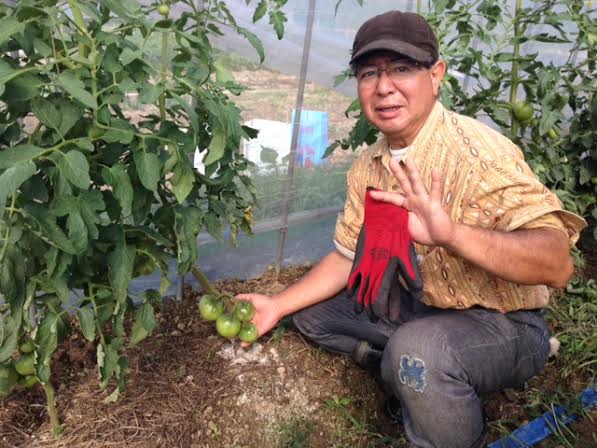 ハイサイおじさん