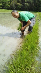 2019510_190511_0010_0