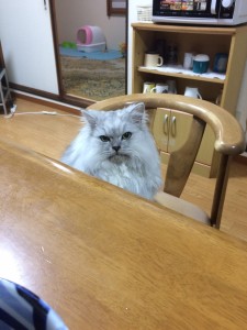 ぴんく_171228_0001