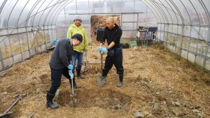 苺ハウス_180112_0043