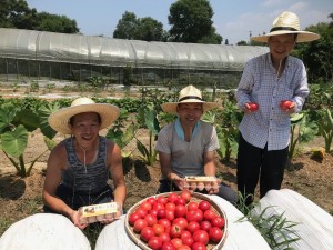 40068CC3-EABC-49BB-A848-BAE144E41B33