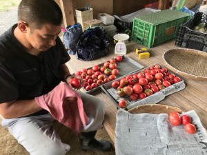 4F039776-0A9C-4BA5-9C72-4C3618C90B33