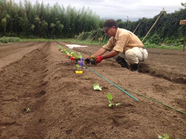 きゃxべはくさい