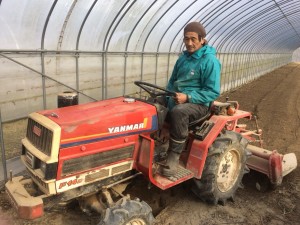 苺ハウス_180112_0022