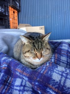 おっかさん_171228_0005