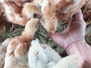 6B7A661E-94B6-4C60-AA45-332476429E60