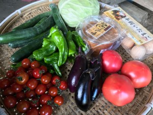 7BB41BD0-43B1-4190-9593-93CA2B5699DD