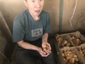 ヒヨコ_180511_0006