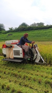 平成３０年稲刈り。_180915_0008