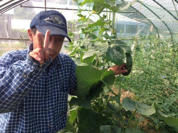 まさやんのすけ