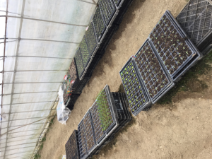 ダウンロード (1)